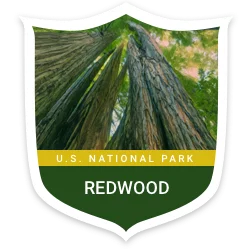 Redwood National Park badge